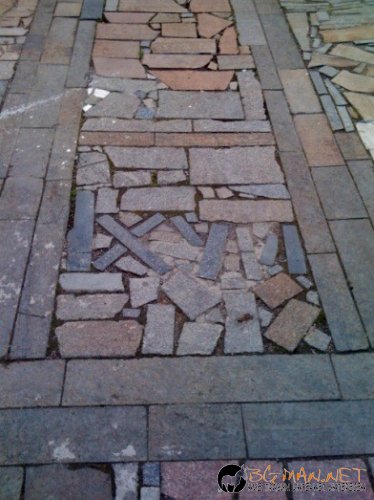 Фотоподборката в понеделник