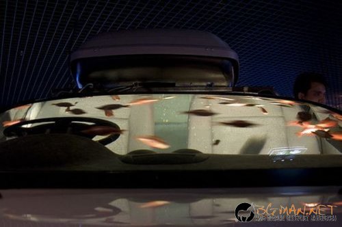 Кола-аквариум