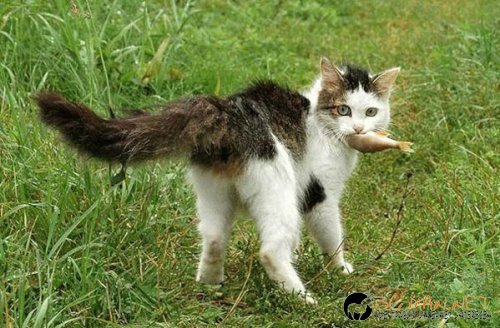 Снимки в събота