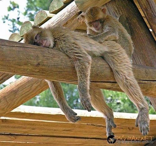 Снимки в събота