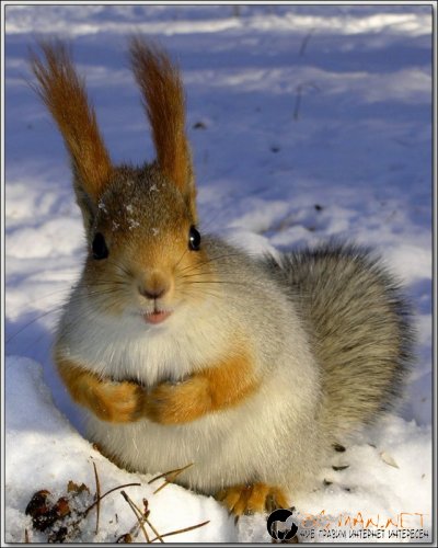 Снимки в събота