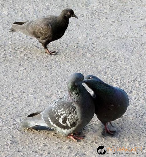 Снимки в събота