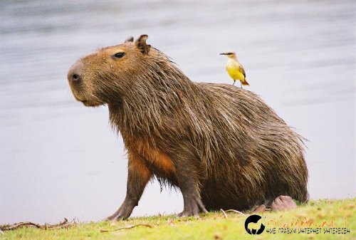 Снимки в събота