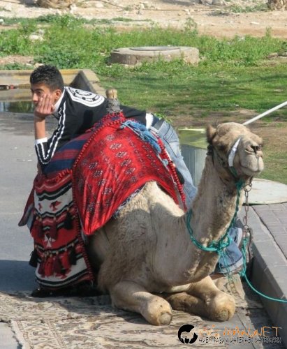 Снимки в събота