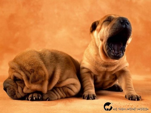 Снимки в събота