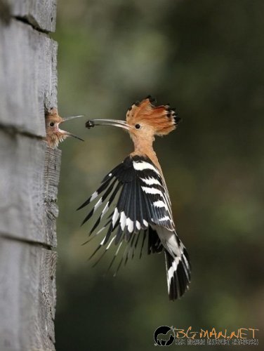 Най интересните снимки за деня