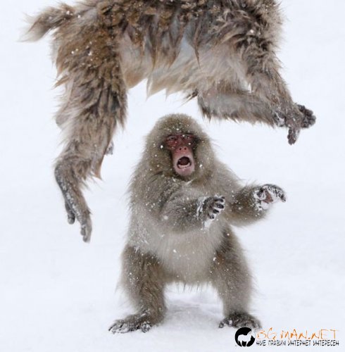 Най интересните снимки за деня