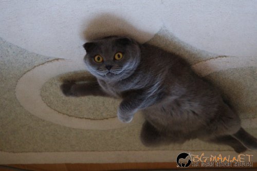 Най интересните снимки за деня