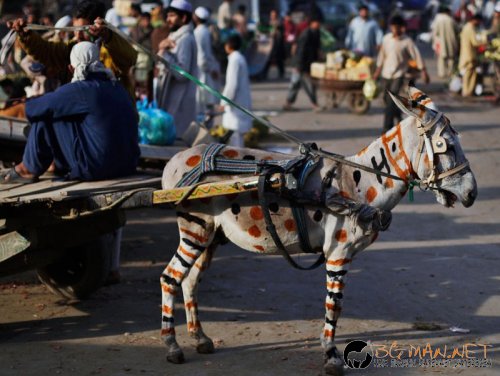 Най интересните снимки за деня