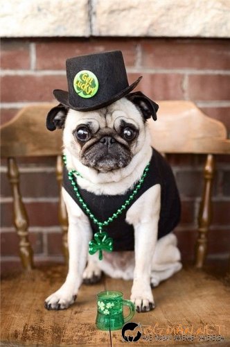 Най интересните снимки за деня