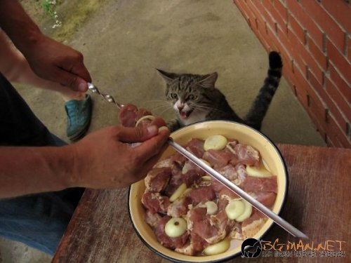 Най интересните снимки за деня