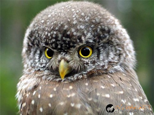 Най интересните снимки за деня