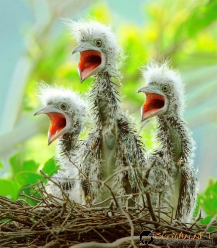 Най интересните снимки за деня