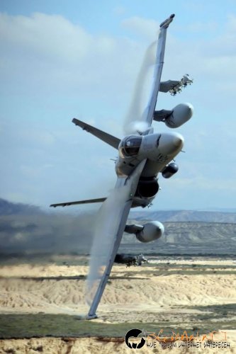 Най интересните снимки за деня