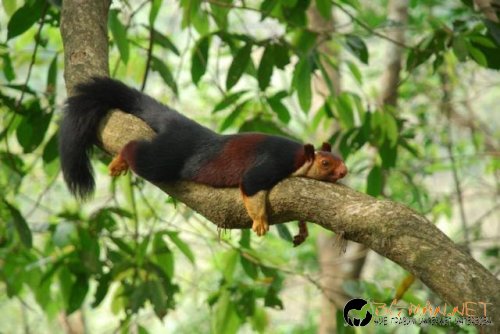 Най интересните снимки за деня