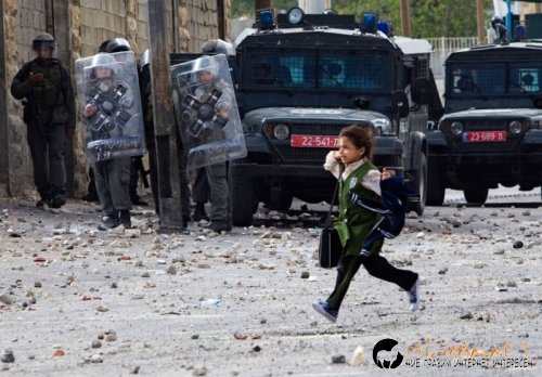 Най интересните снимки за деня