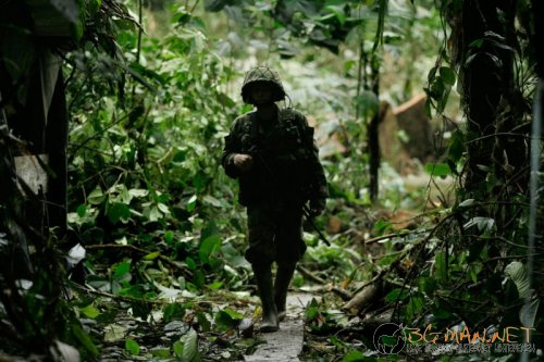 Най интересните снимки за деня