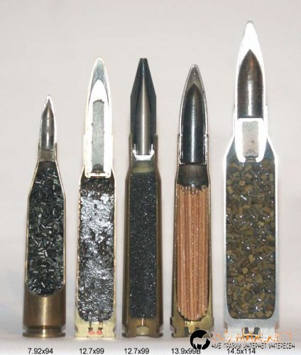 Най интересните снимки за деня