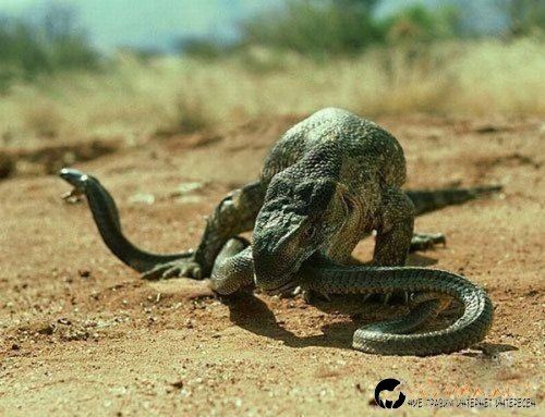 Най интересните снимки за деня