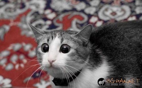 Най интересните снимки за деня