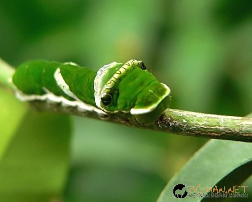 Най интересните снимки за деня