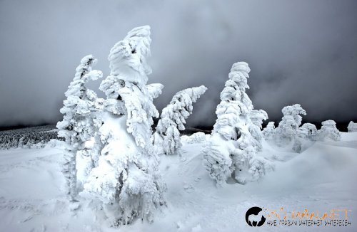 Най интересните снимки за деня
