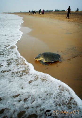 Най интересните снимки за деня
