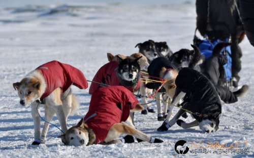 Най интересните снимки за деня