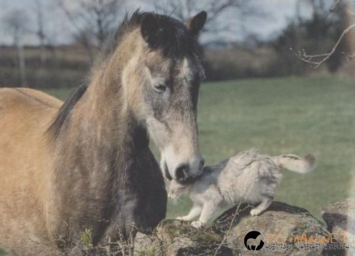 Най интересните снимки за деня