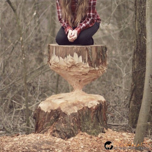 Най интересните снимки за деня