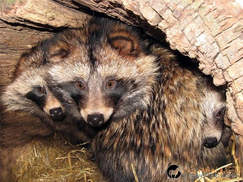 Най интересните снимки за деня