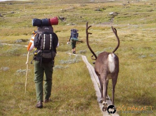 Най интересните снимки за деня