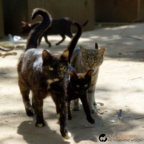 Най интересните снимки за деня