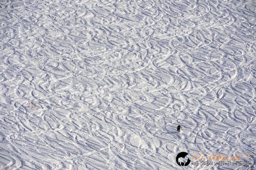 Забавна спортна фото подборка