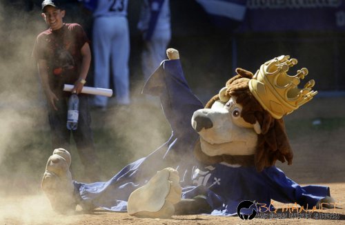 Забавна спортна фото подборка