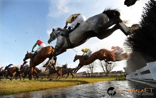 Забавна спортна фото подборка