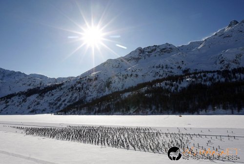 Забавна спортна фото подборка