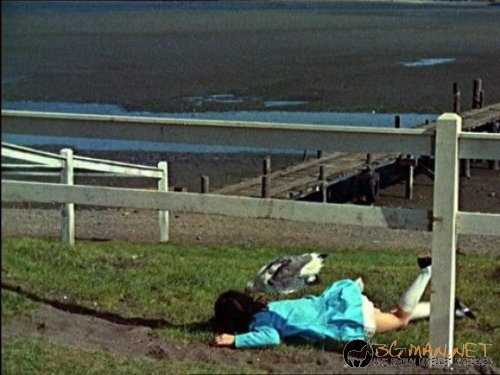 Птича напаст