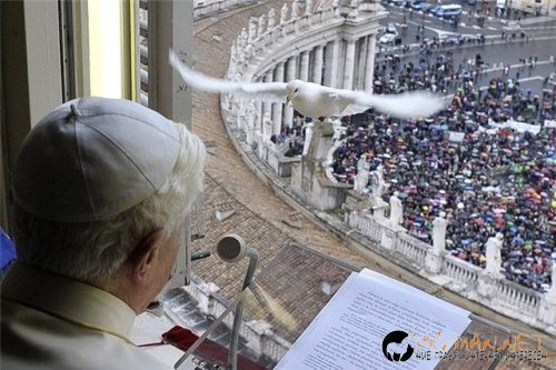 Птича напаст