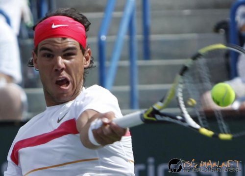 Тенис физиономии