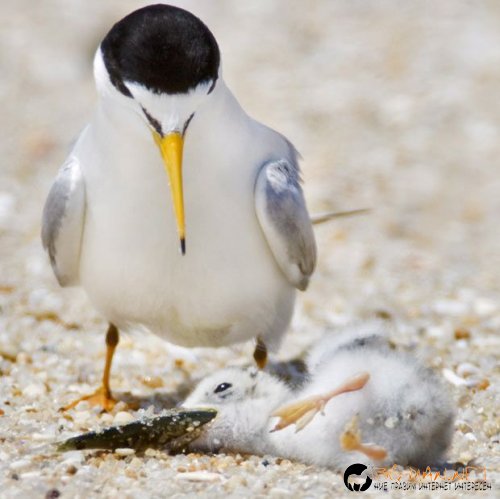 Съботните Топ снимки