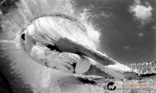 Съботните Топ снимки