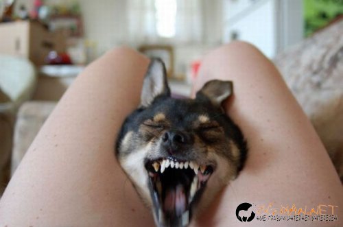 Съботните Топ снимки