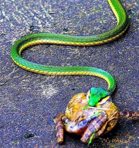 Съботните Топ снимки