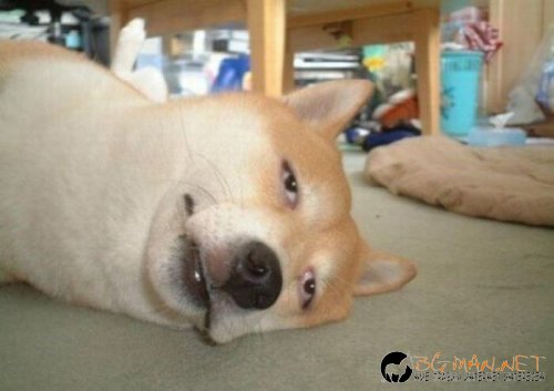 Съботните Топ снимки