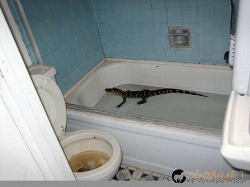 Съботните Топ снимки