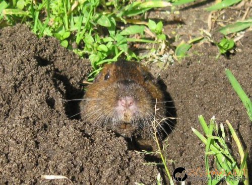 Съботните Топ снимки