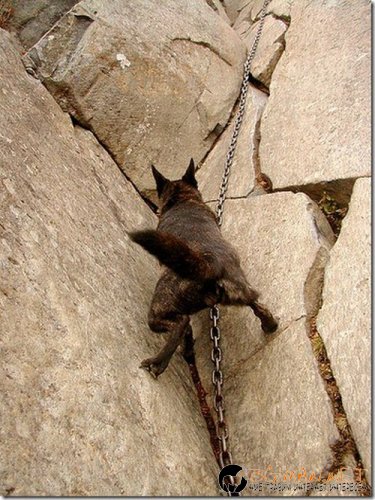 Съботните Топ снимки