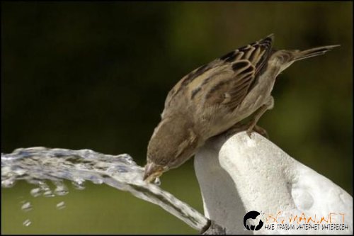 Съботните Топ снимки