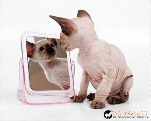 Съботните Топ снимки